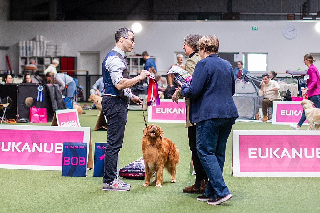 Edison gewinnt die Veteranenklasse, wofür Stephan zwei Rosettenschleifen und einen Futtersack von der Richterin bekommt