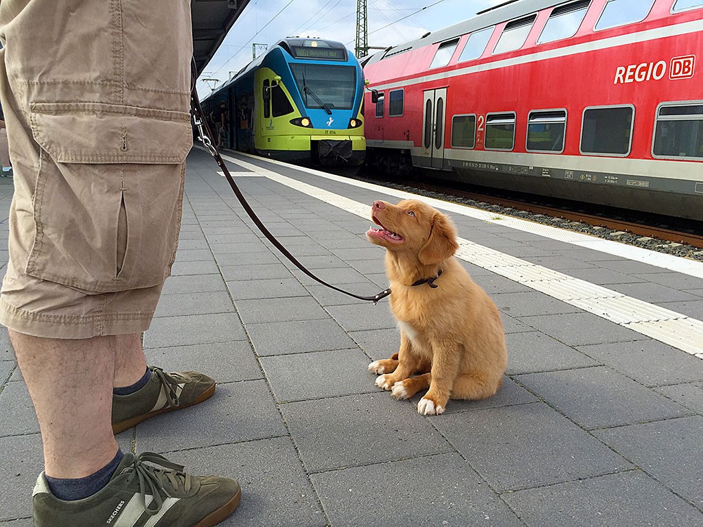 Edison sitzt am Bahnsteig während ein Zug einfährt
