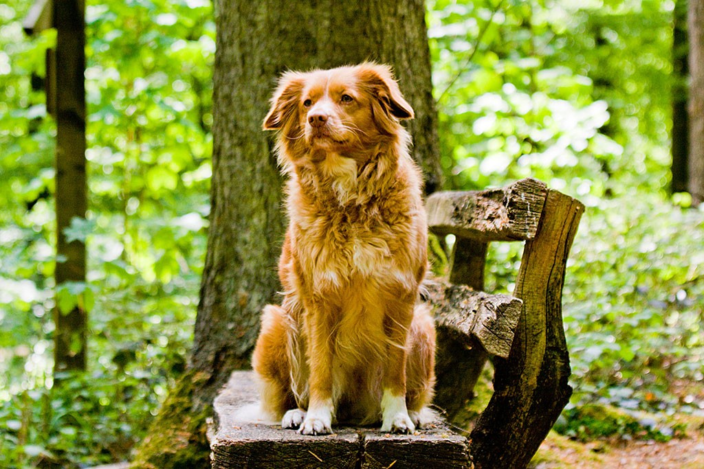Frieda sitzt auf einer Holzbank