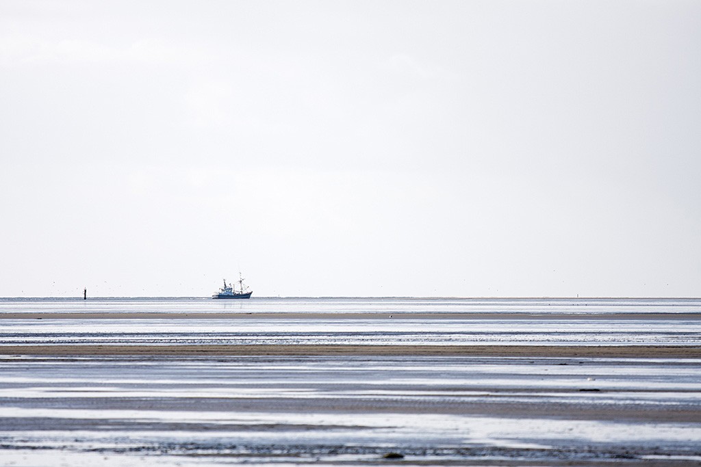 Blick übers weite mit Rinnsalen übersähte Wattenmeer, im Hintergrund ist ein Schiff zu sehen