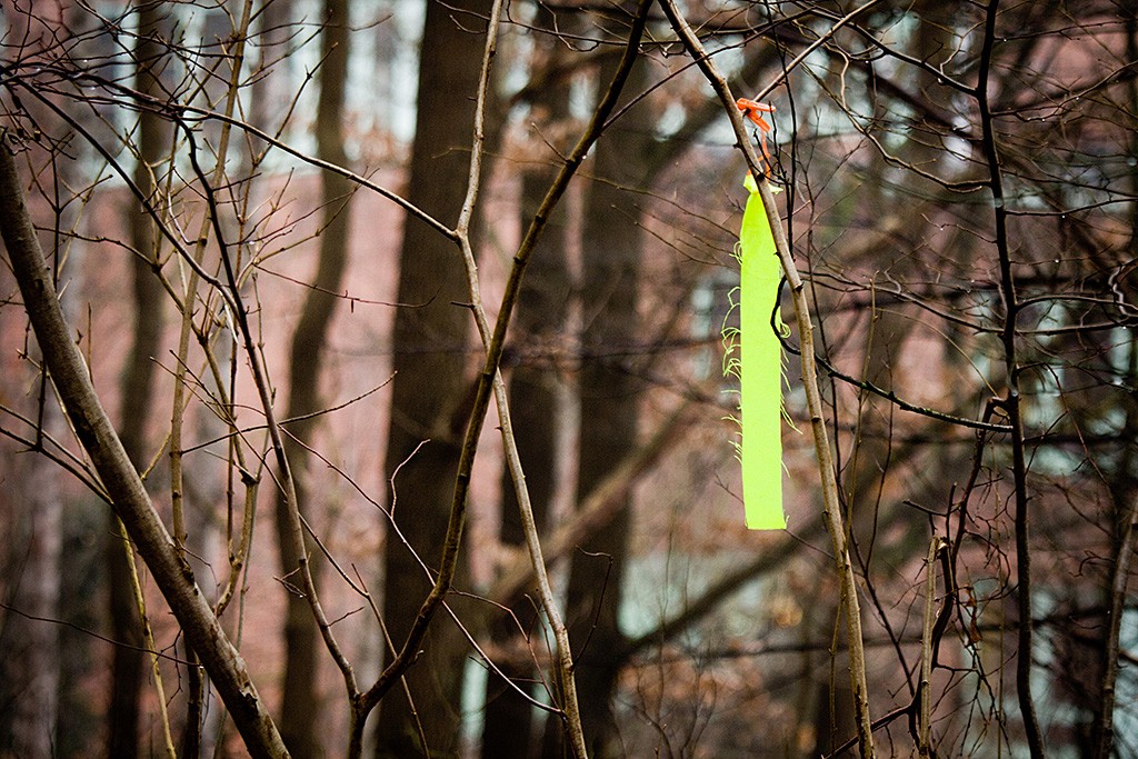 Gelbes Markierbändchen, das an einem Zweig hängt