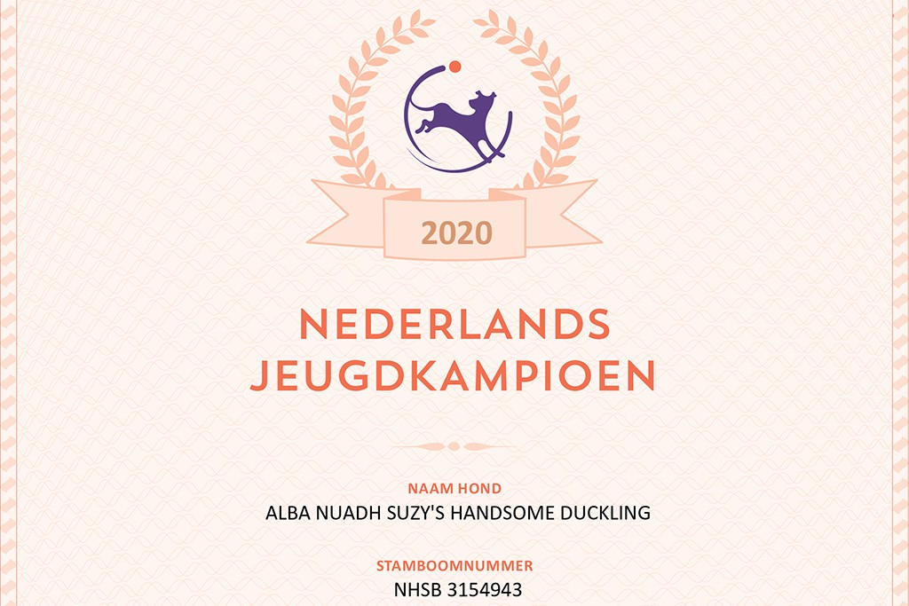 Newtons Urkunde zum niederländischen Jugend-Champion