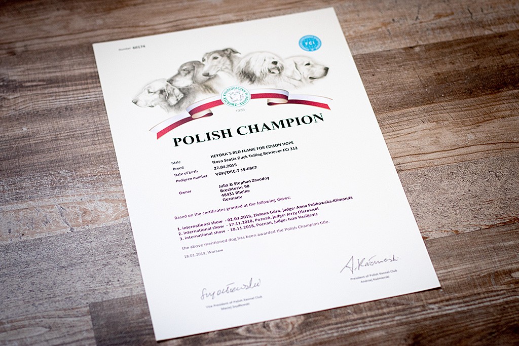 Edisons Urkunde zum Polnischen Champion