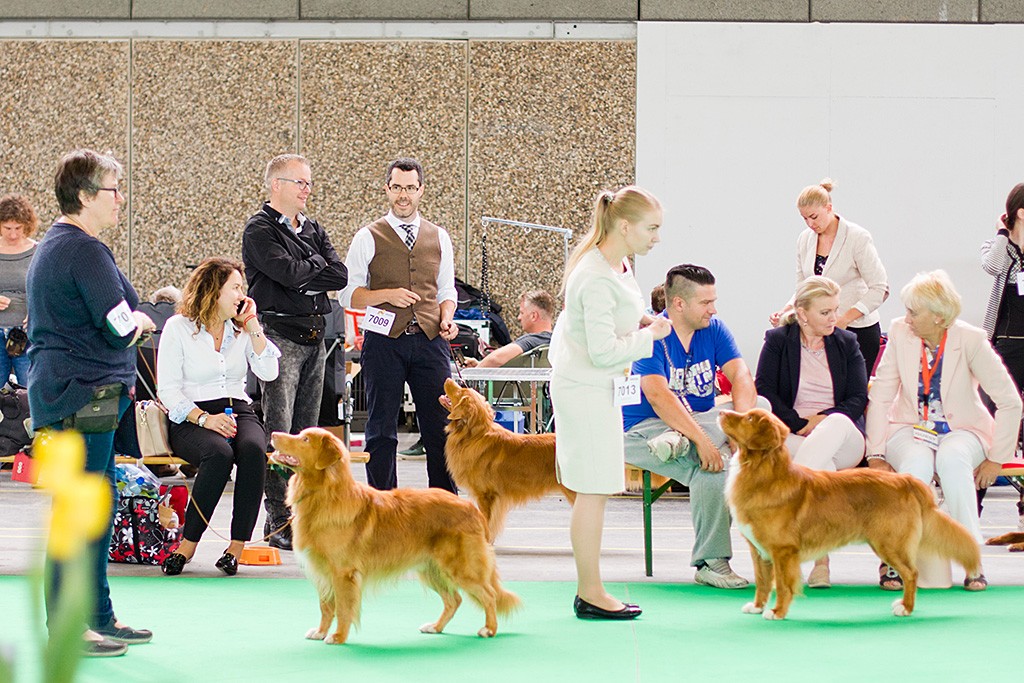 Edison wartet mit Stephan neben dem Ring während Roy und Toto im Ring stehen